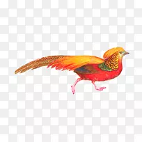 鸟类剪贴画-粉红鸟