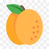 果汁干水果杏电脑图标芒果