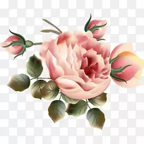 花卉花园玫瑰花卉设计剪贴画丁香花