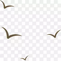 海鸟象牙海鸥嘴夹艺术燕子