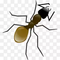 蚂蚁电脑图标剪贴画-蚂蚁