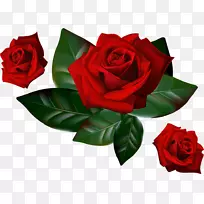 玫瑰桌面壁纸夹艺术-红玫瑰装饰
