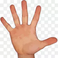 食指中指夹艺术手握持