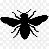 欧洲黑蜜蜂剪贴画-蜜蜂