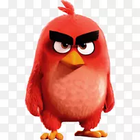 愤怒的小鸟史诗愤怒的小鸟2愤怒的鸟去！愤怒的鸟类进化-愤怒的鸟类