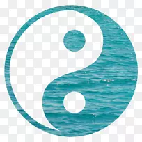 阴阳象征摄影针灸阴阳