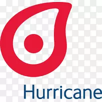 飓风能源石油热带气旋公司业务-飓风