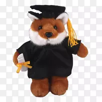 毛绒玩具，毛绒袜子，猴子枕头，宠物毕业典礼-毕业礼服