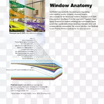 窗口解剖WordPress小册子模板-解剖