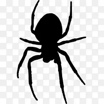 蜘蛛电脑图标剪贴画-蜘蛛网
