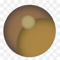 卵龟