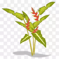天堂鸟花海棠植物剪贴画-Paradİse