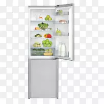 冰箱、家用电器、自动除霜器、主要设备冷冻机