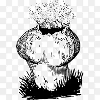 真菌孢子蘑菇泡球繁殖-真菌