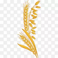 膳食纤维谷物胚芽糖燕麦糖