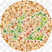 色盲石原慎太郎试验视觉知觉色觉考试