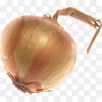 葱蔬菜