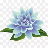 糖酵解生物柠檬酸循环代谢途径生化蓝花环