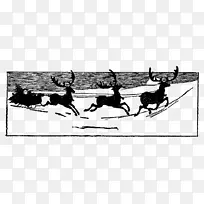 圣诞老人的驯鹿-圣诞老人雪橇