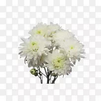 菊花切花花束大丽花丁香花
