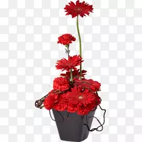 花盆盆景花瓶切花筒