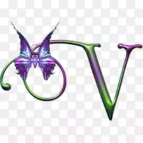 英文字母v-字母表
