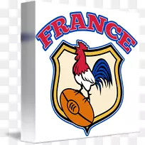 法国高卢公鸡群摄影-公鸡