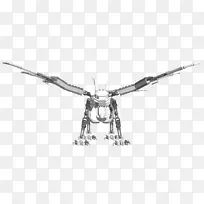 绘制生物档案：Lego/m/02csf-骨架