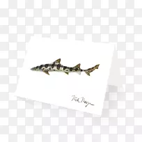 珠宝字体-幼鲨