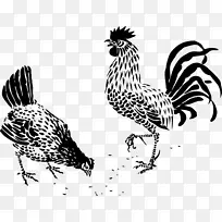 普利茅斯石鸡画线艺术公鸡-母鸡