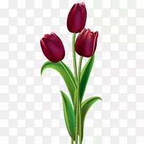 英迪拉甘地纪念郁金香花园红花剪贴画