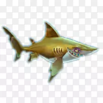 饥饿的鲨鱼世界饥饿的鲨鱼进化安魂曲鲨鱼黑头鲨虎鲨幼鲨