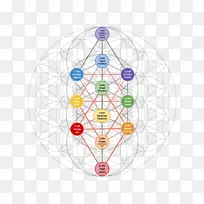 生命之树，重叠圆圈，网格神圣几何学呼吸-爱情树
