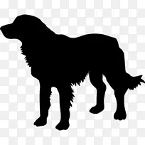 金毛猎犬拉布拉多猎犬剪影摄影-金毛猎犬