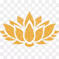 莲花插花艺术-莲花