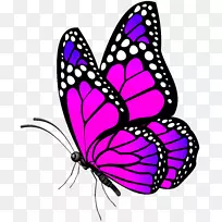 蝴蝶桌面壁纸夹艺术-粉红色蝴蝶