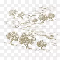 绘制橄榄油树-橄榄树叶