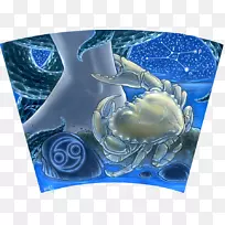 癌症星座占星术占优势癌症占星术