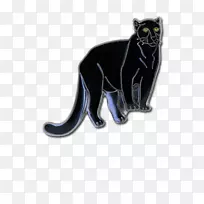 黑猫食肉宠物黑豹