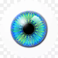 眼瞳孔夹术