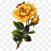 玫瑰黄色插花艺术