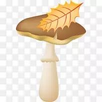 真菌蘑菇摄影-蘑菇