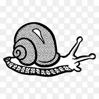蜗牛腹足画夹艺术-蜗牛