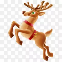 驯鹿圣诞剪贴画-驼鹿