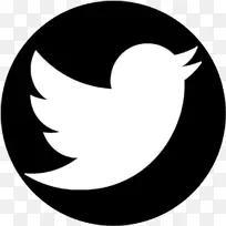 电脑图标标志-twitter