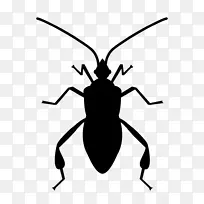 软件错误昆虫计算机图标-bug
