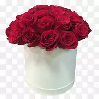花束盒花园玫瑰-花盒