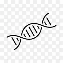 DNA核酸双螺旋遗传学计算机图标dna