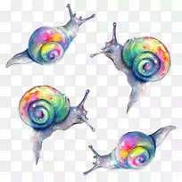 蜗牛彩虹画鼻涕虫色蜗牛