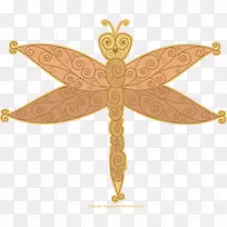 昆虫蜻蜓符号剪贴画-龙蝇